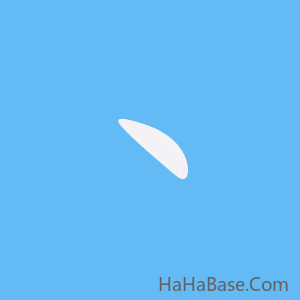 《丶》的筆順動畫寫字動畫演示