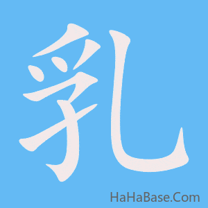 《乳》的筆順動畫寫字動畫演示
