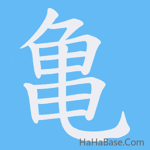 《亀》的筆順動畫寫字動畫演示