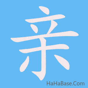 《亲》的筆順動畫寫字動畫演示