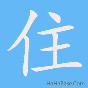 《住》的筆順動畫寫字動畫演示