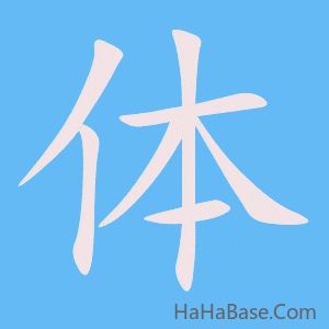 《体》的筆順動畫寫字動畫演示