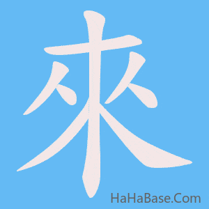 《來》的筆順動畫寫字動畫演示