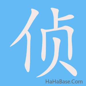 《侦》的筆順動畫寫字動畫演示
