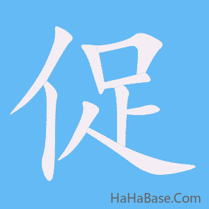 《促》的筆順動畫寫字動畫演示
