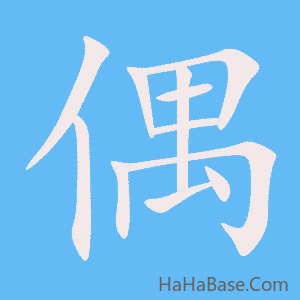 《偶》的筆順動畫寫字動畫演示