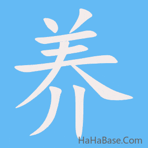 《养》的筆順動畫寫字動畫演示