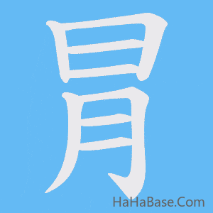 《冐》的筆順動畫寫字動畫演示