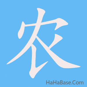 《农》的筆順動畫寫字動畫演示