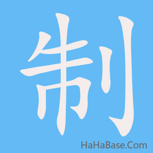 《制》的筆順動畫寫字動畫演示