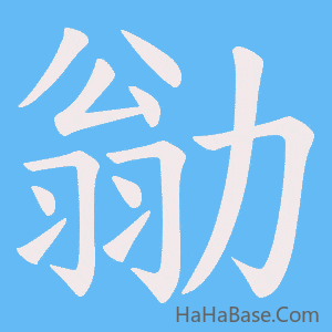 《勜》的筆順動畫寫字動畫演示