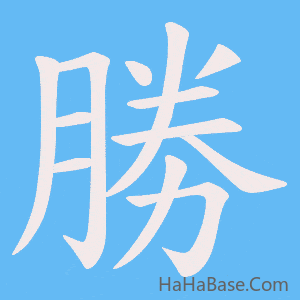 《勝》的筆順動畫寫字動畫演示