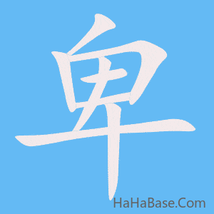 《卑》的筆順動畫寫字動畫演示