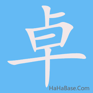 《卓》的筆順動畫寫字動畫演示