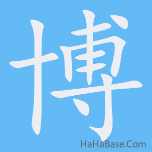 《博》的筆順動畫寫字動畫演示