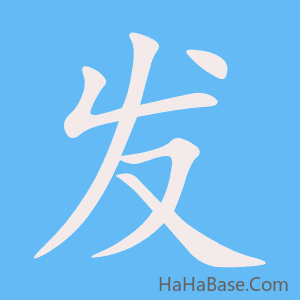 《发》的筆順動畫寫字動畫演示