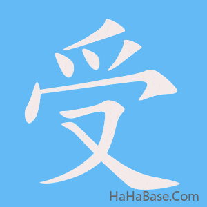 《受》的筆順動畫寫字動畫演示