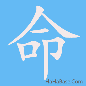 《命》的筆順動畫寫字動畫演示
