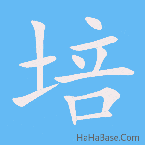 《培》的筆順動畫寫字動畫演示