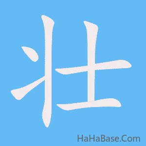 《壮》的筆順動畫寫字動畫演示