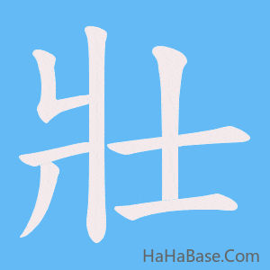 《壯》的筆順動畫寫字動畫演示
