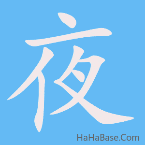 《夜》的筆順動畫寫字動畫演示