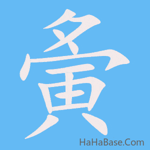 《夤》的筆順動畫寫字動畫演示