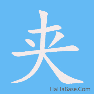 《夹》的筆順動畫寫字動畫演示