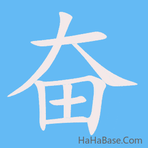 《奋》的筆順動畫寫字動畫演示