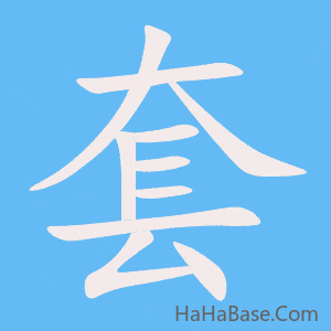 《套》的筆順動畫寫字動畫演示