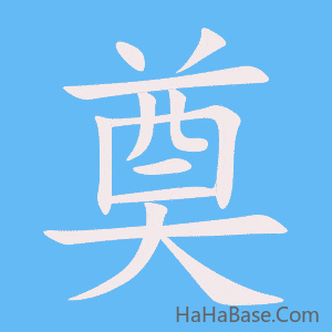 《奠》的筆順動畫寫字動畫演示