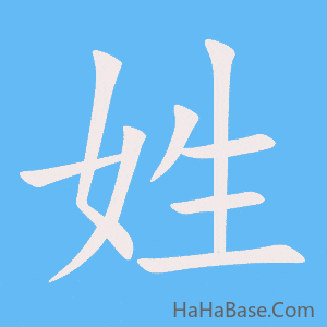 《姓》的筆順動畫寫字動畫演示