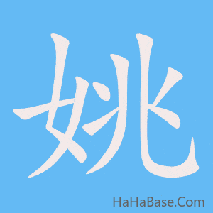 《姚》的筆順動畫寫字動畫演示