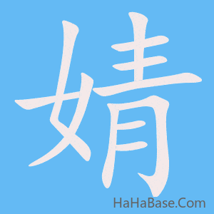 《婧》的筆順動畫寫字動畫演示