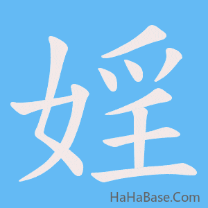 《婬》的筆順動畫寫字動畫演示