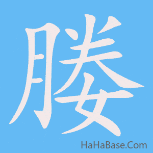 《媵》的筆順動畫寫字動畫演示