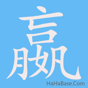 《嬴》的筆順動畫寫字動畫演示