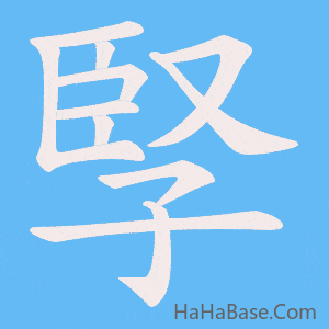 《孯》的筆順動畫寫字動畫演示