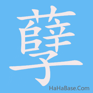 《孽》的筆順動畫寫字動畫演示