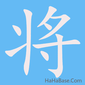 《将》的筆順動畫寫字動畫演示