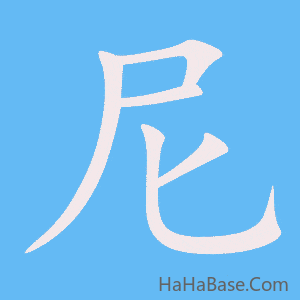 《尼》的筆順動畫寫字動畫演示