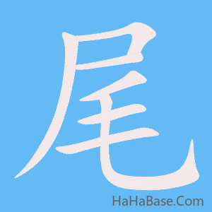 《尾》的筆順動畫寫字動畫演示