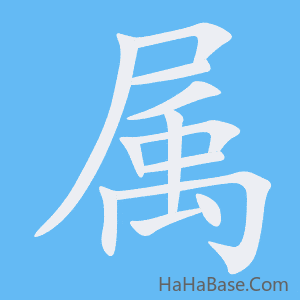 《属》的筆順動畫寫字動畫演示