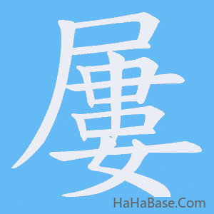 《屢》的筆順動畫寫字動畫演示