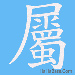 《屬》的筆順動畫寫字動畫演示