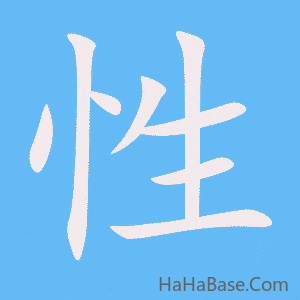 《性》的筆順動畫寫字動畫演示