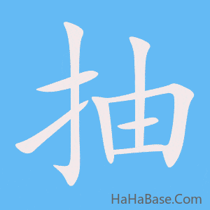 《抽》的筆順動畫寫字動畫演示