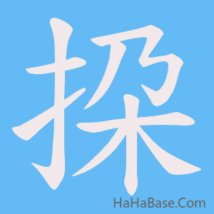 《挅》的筆順動畫寫字動畫演示