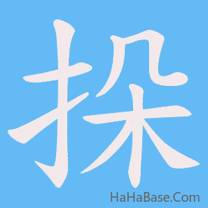 《挆》的筆順動畫寫字動畫演示
