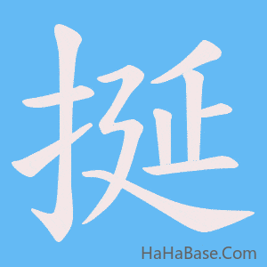 《挻》的筆順動畫寫字動畫演示